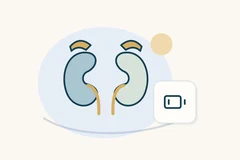 Gold adrenal-gland symbols above two kidneys beside a low-battery badge.