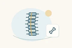 Stacked spine symbols crossed by a curved gold line beside a bone icon.