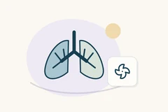 Stylized lungs and branching airways beside a four-bladed fan icon.