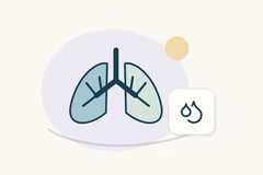 Stylized lungs and branching airways beside two droplet outlines.