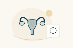 Stylized uterus beside a dashed-circle badge.