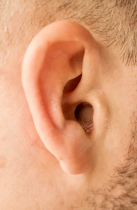 A close-up view of an adult ear